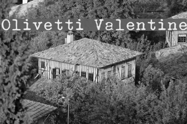 Olivetti Valentine Font examples