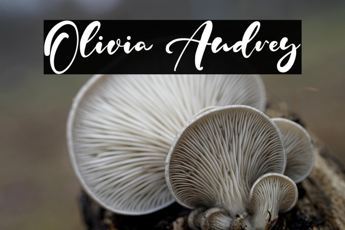 Olivia Audrey Example 3