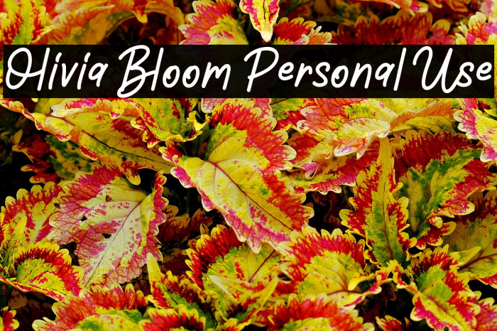 Olivia Bloom Personal Use Example 1