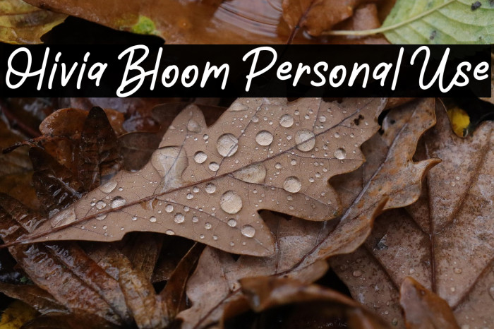 Olivia Bloom Personal Use Example 2