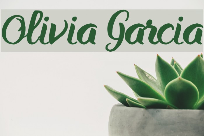 Olivia Garcia Example 3