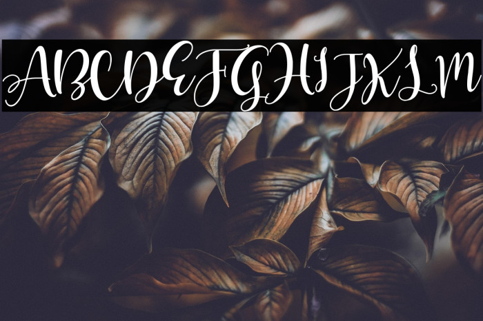 Olivia Mirna Example 1