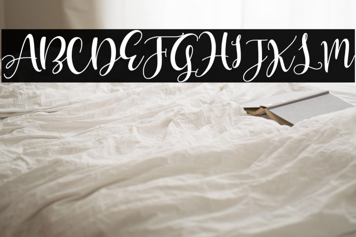 Olivia Mirna Example 2