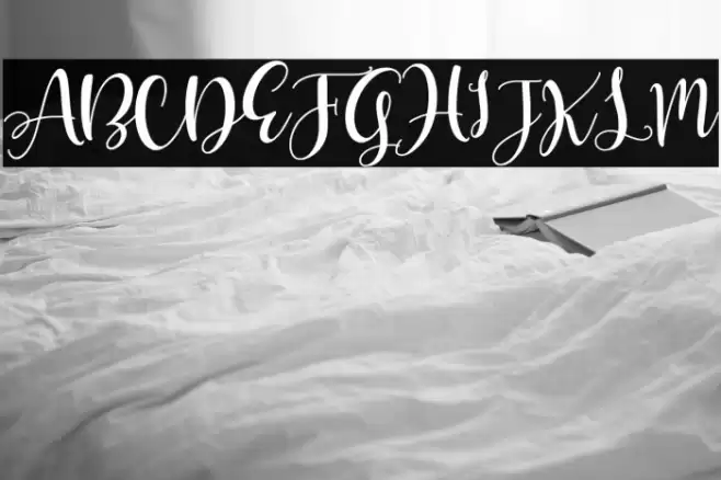 Olivia Mirna Font examples