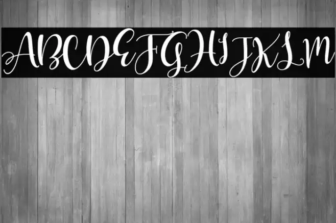 Olivia Mirna Font examples