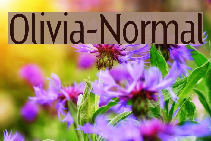 Olivia-Normal Font examples