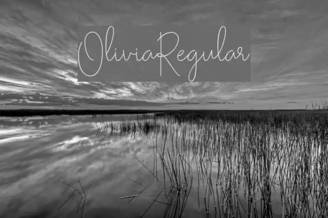 Olivia-Regular Font examples