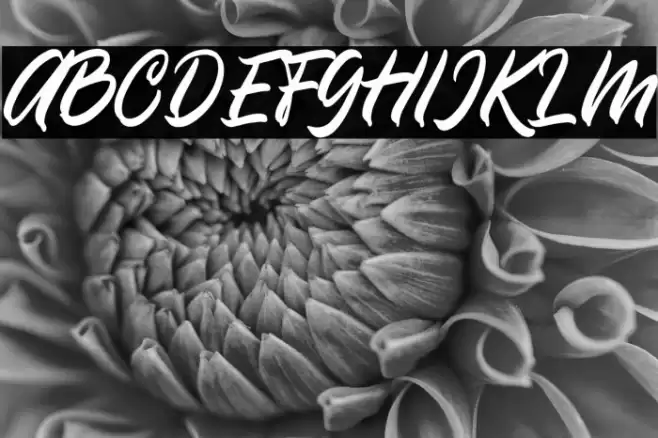 Olivia Font examples