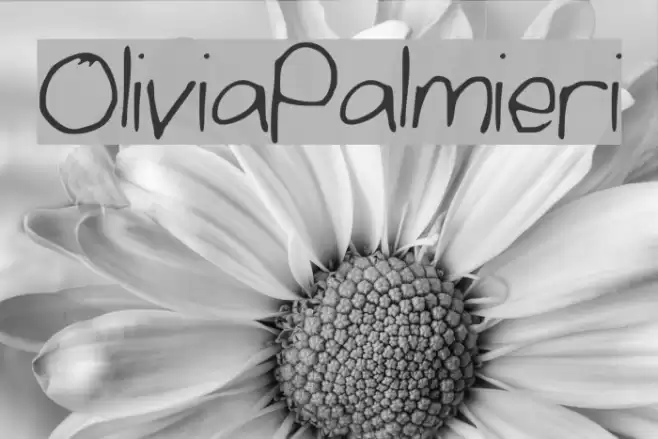 OliviaPalmieri Font examples