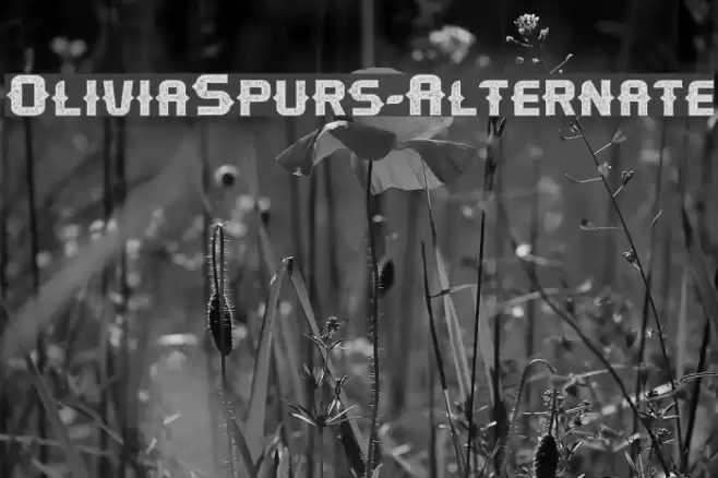 OliviaSpurs-Alternate Font examples