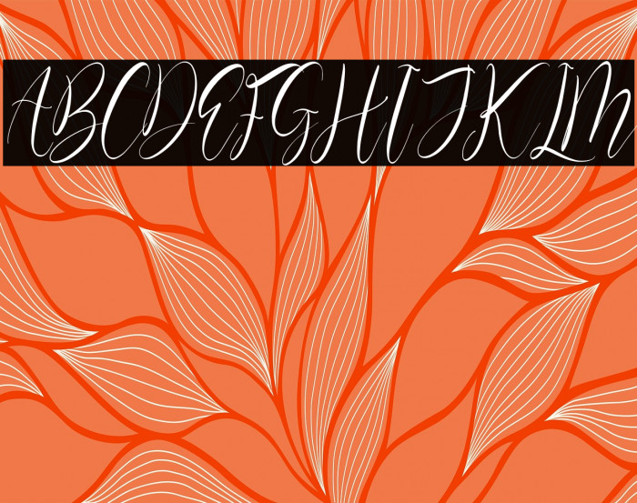 Olivianta Pettcia Italic Example 3