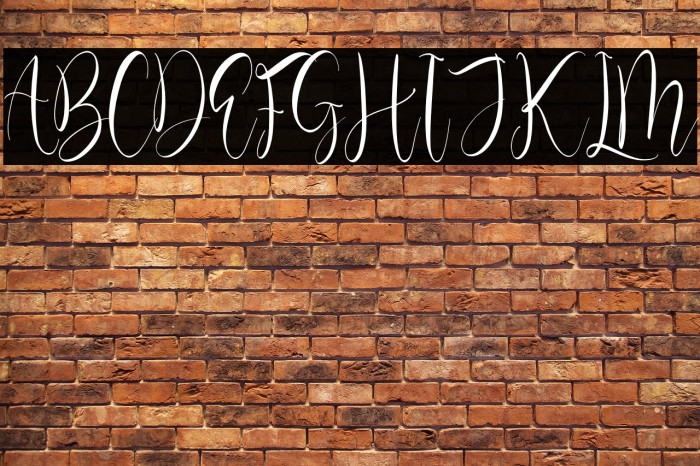 Olivianta Pettcia Example 1