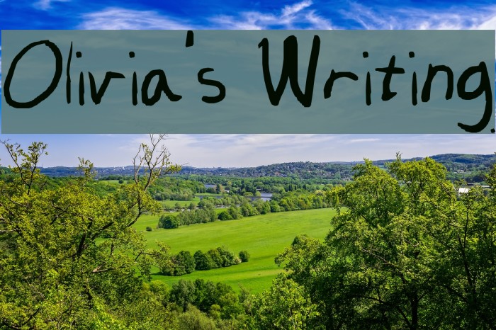 Olivia's Writing Example 1