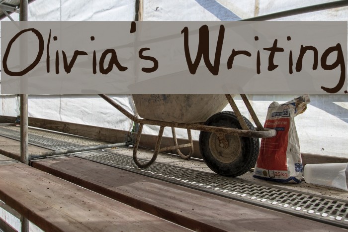 Olivia's Writing Example 2