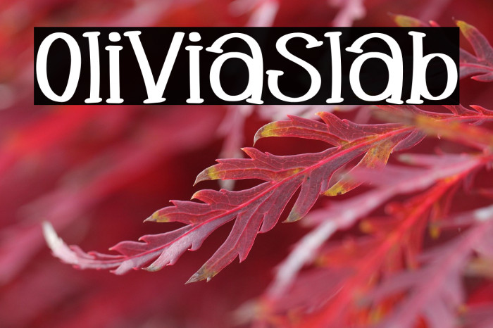 Oliviaslab Example 2