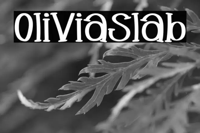 Oliviaslab Font examples
