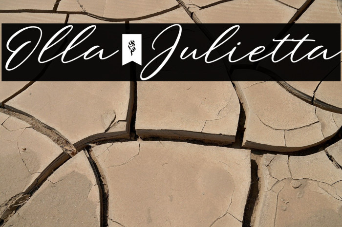 Olla_Julietta Example 1