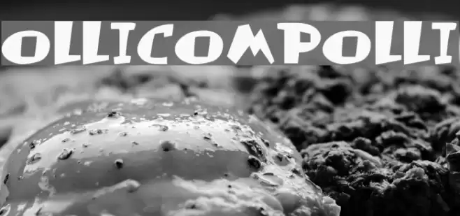 Olli-Compolli Font examples