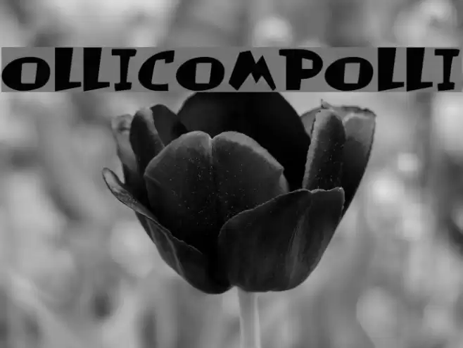 Olli-Compolli Font examples