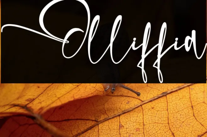 Olliffia Example 1