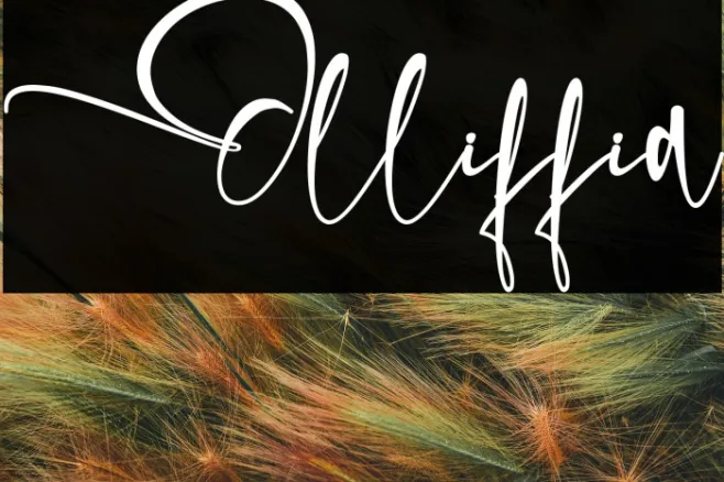 Olliffia Example 2