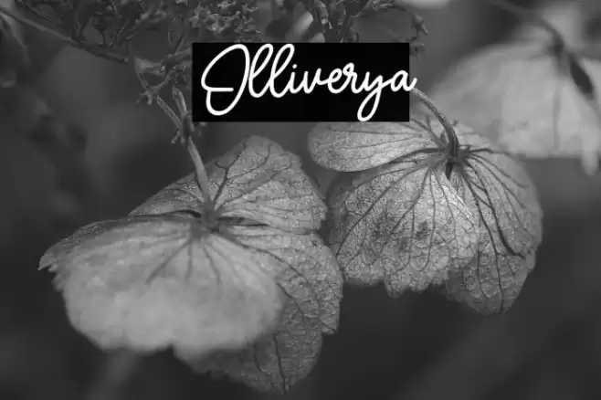 Olliverya Шрифта examples