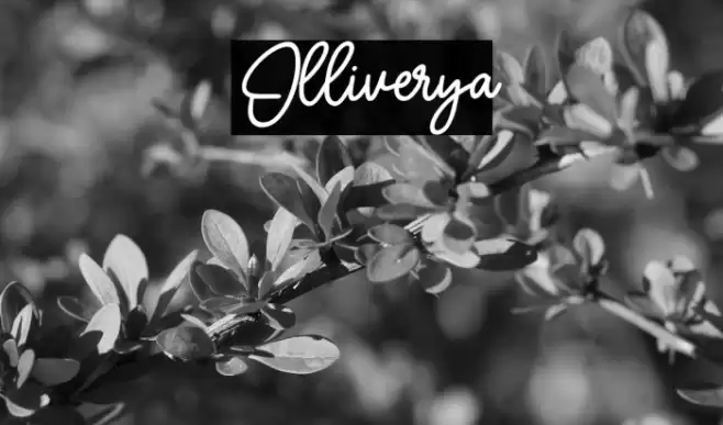 Olliverya Шрифта examples