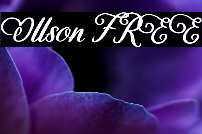 Ollson FREE Example 3