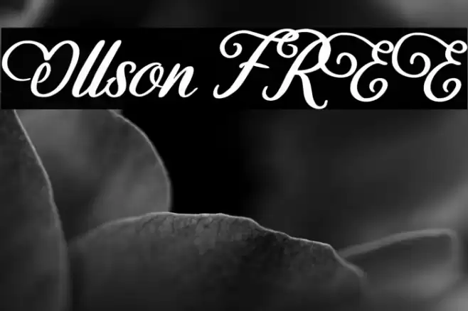 Ollson FREE Font examples