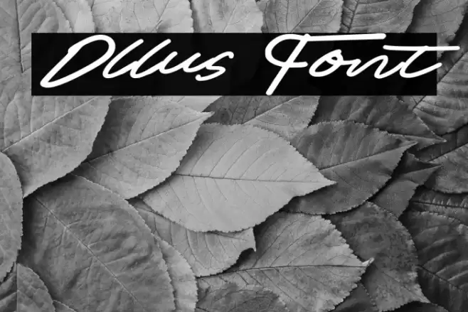 Ollus Schriftart examples