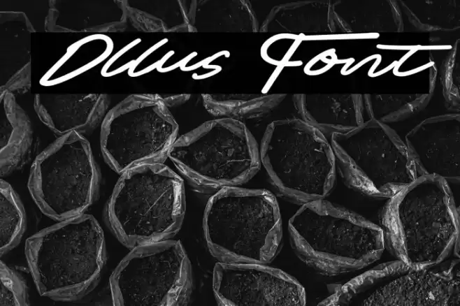 Ollus Schriftart examples
