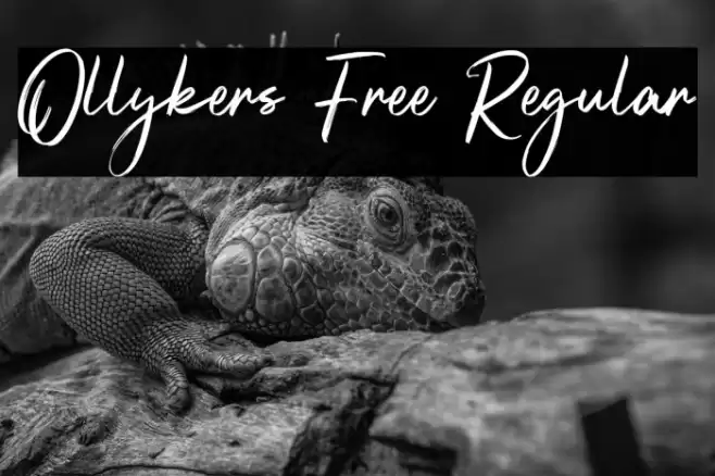 Ollykers Free Regular Font examples