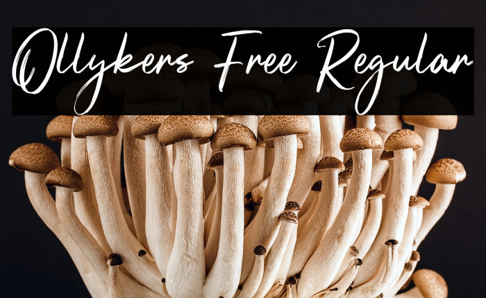 Ollykers Free Regular Example 3