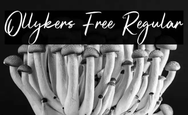 Ollykers Free Regular Font examples