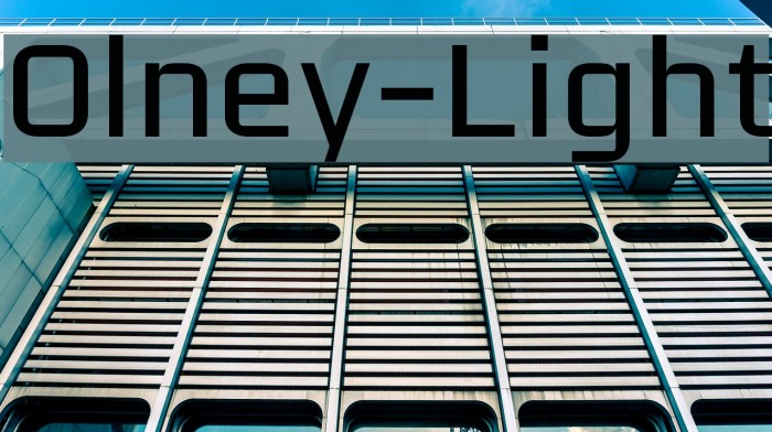 Olney-Light Font examples