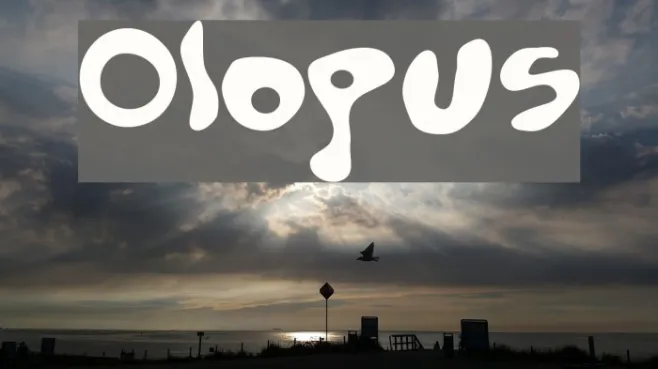 Olopus Example 2