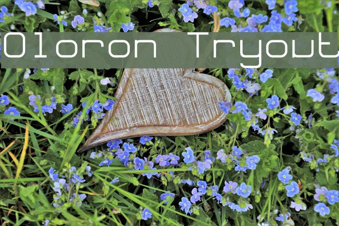 Oloron Tryout Font examples