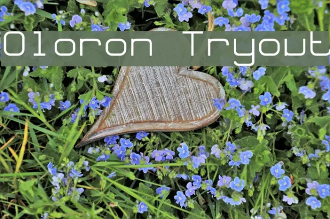 Oloron Tryout Example 2