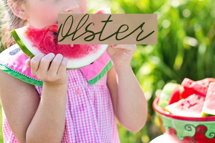 Olster Font examples