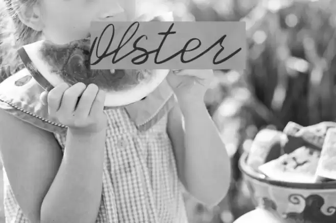 Olster Font examples