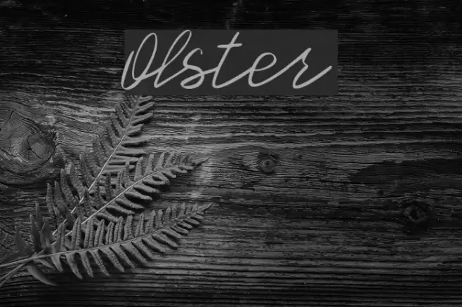 Olster Font examples