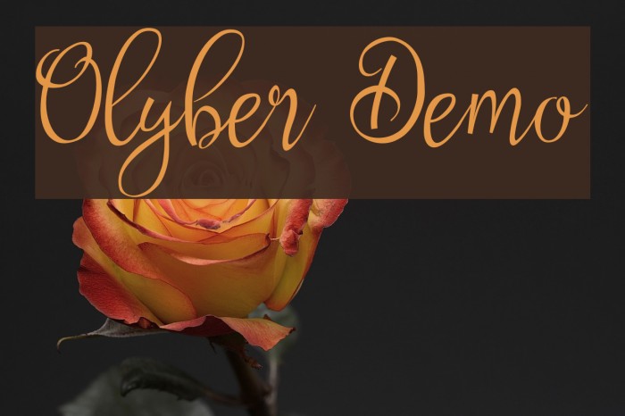 Olyber Demo Font examples