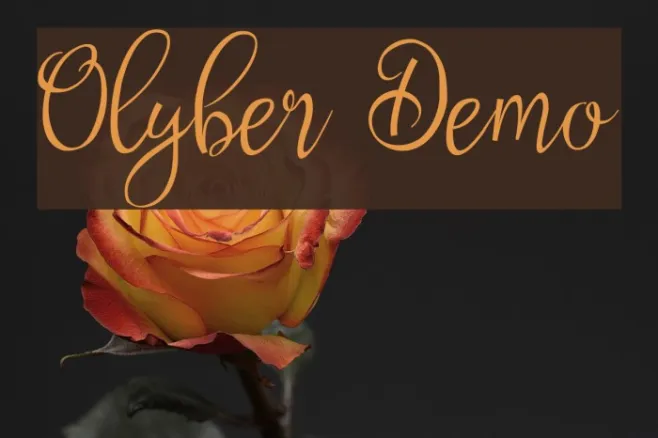Olyber Demo Example 3