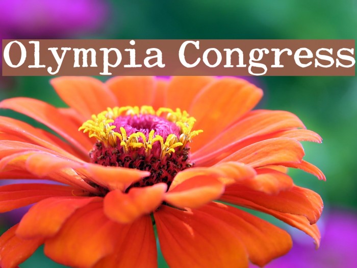 Olympia Congress Font examples
