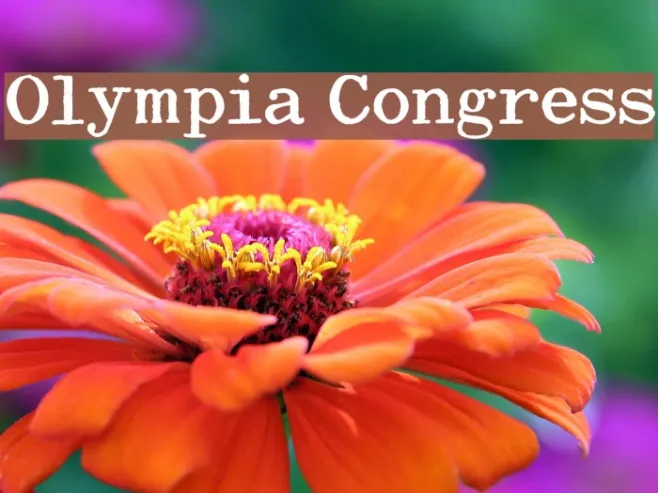 Olympia Congress Example 1