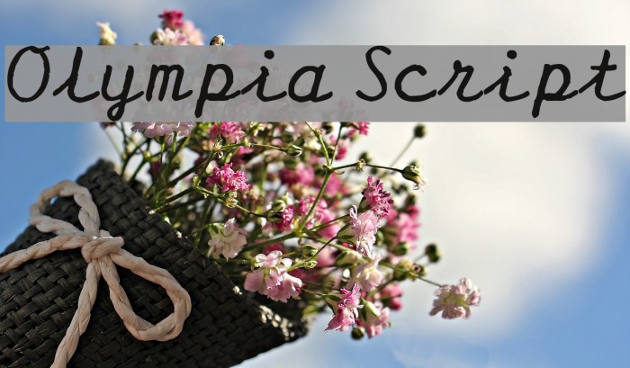 Olympia Script Font examples