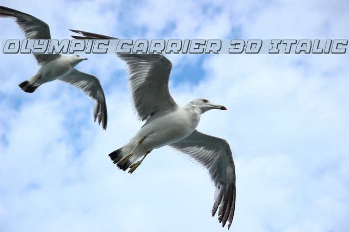Olympic Carrier 3D Italic Schriftart examples