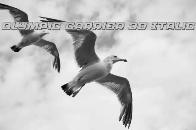 Olympic Carrier 3D Italic Schriftart examples