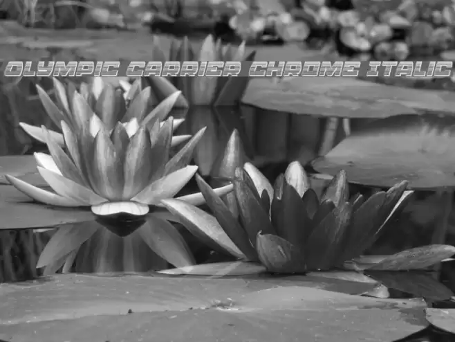 Olympic Carrier Chrome Italic Font examples