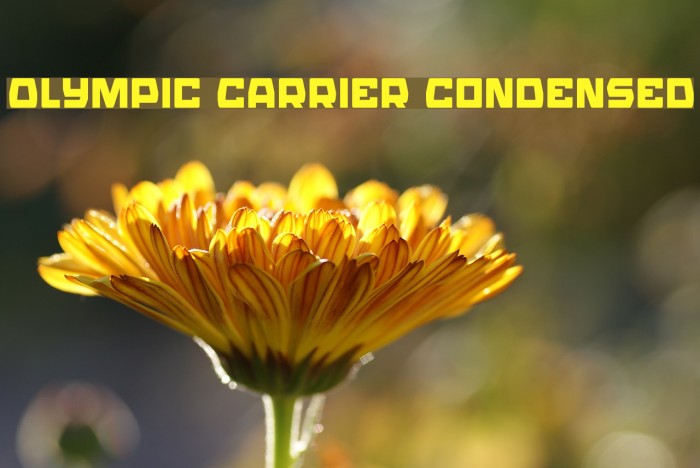 Olympic Carrier Condensed Example 1
